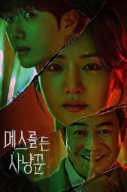 Hunter With a Scalpel: Temporada 1 Online