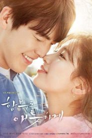 Uncontrollably Fond (Paixão Incontrolável): Temporada 1 Online