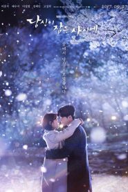 While You Were Sleeping (Enquanto Você Dormia): Temporada 1 Online
