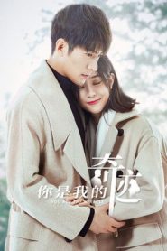 You Are the Miracle: Temporada 1 Online