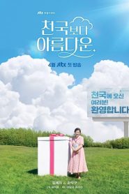 Heavenly Ever After (Um Amor no Paraíso): Temporada 1 Online