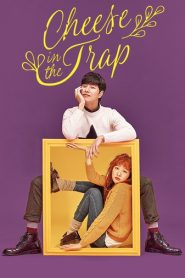 Cheese In the Trap: Temporada 1 Online