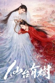Love of the Divine Tree (Amor da Árvore Divina): Temporada 1 Online