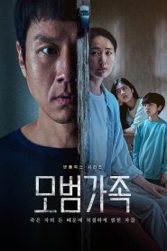 A Model Family (Uma Família Exemplar): Temporada 1 Online