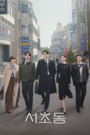 Law and The City (A Cidade e a Lei)