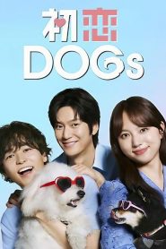 Love Is For The Dogs (Amor é Para os Cães): Temporada 1 Online