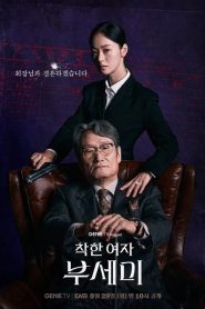 Ms. Incognito: Temporada 1 Online
