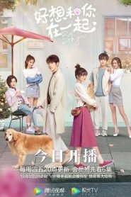Be With You (Estar com Você): Temporada 1 Online