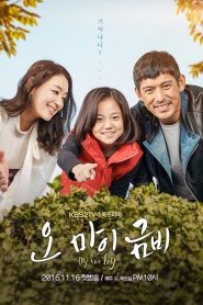 Oh My Geum Bi (My Fair Lady)