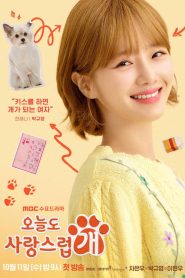 A Good Day to be a Dog (Um Bom Dia para Ser um Cachorro): Temporada 1 Online