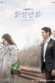 When My Love Blooms (Quando Meu Amor Floresce): Temporada 1 Online