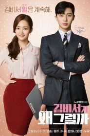 What’s Wrong With Secretary Kim (O Que Houve com a Secretária Kim?): Temporada 1 Online