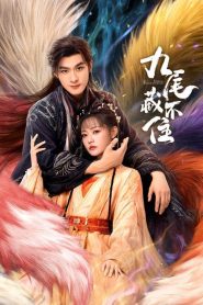 Eternal Love of the Fox