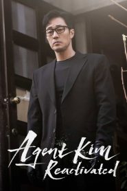 Agent Kim Reactivated